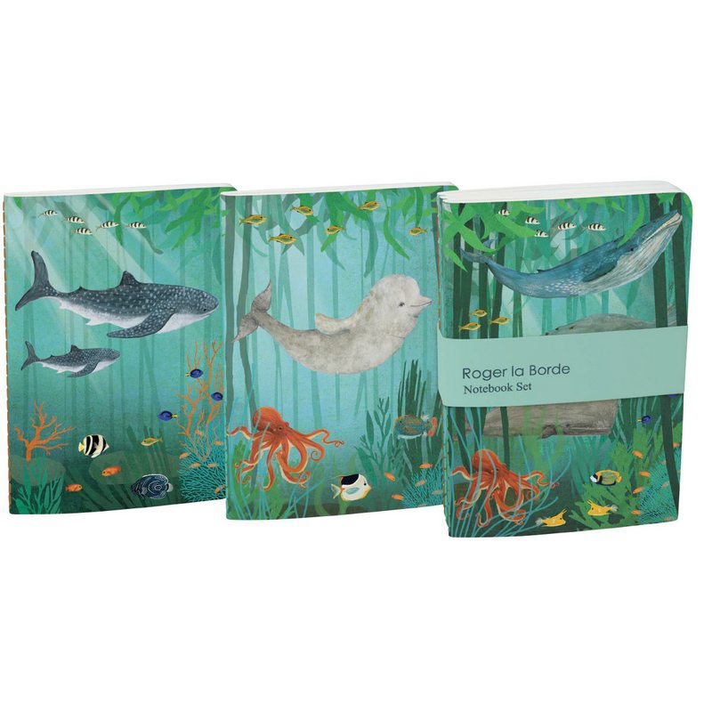 Roger La Borde Whale Song A6 Exercise Books set A6E078S set of 3