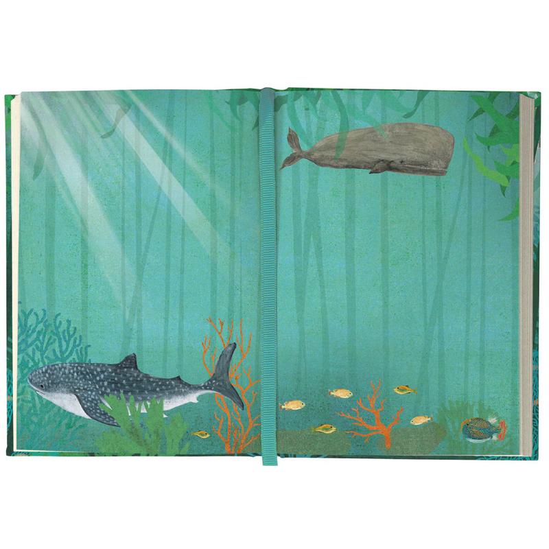 Roger La Borde Whale Song Illustrated Journal AS066 inside7