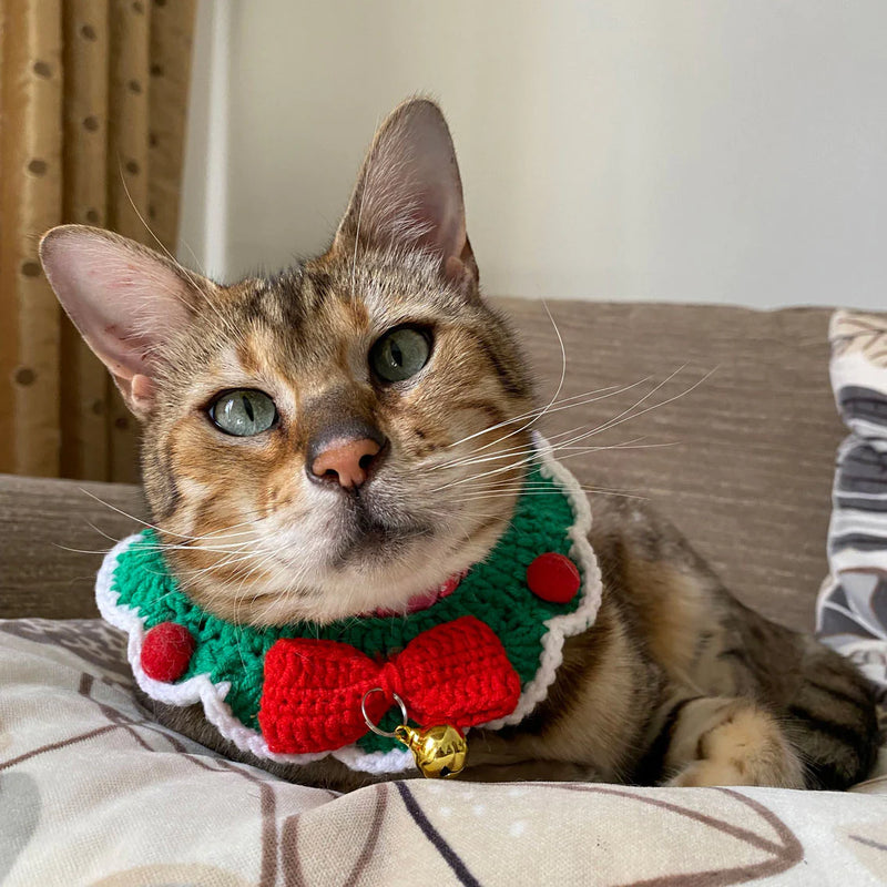 Talking Tables Botanical Pet Crochet Cat Collar BC-PET-COL-CAT on cat 2