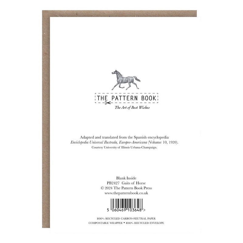 The Pattern Book Gaits of a Horse Greetings Card PB2427 rear