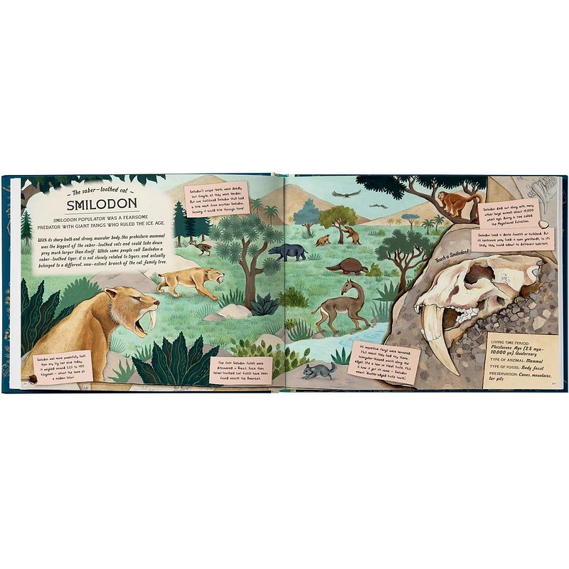 The Fossil Keeper's Treasure inside