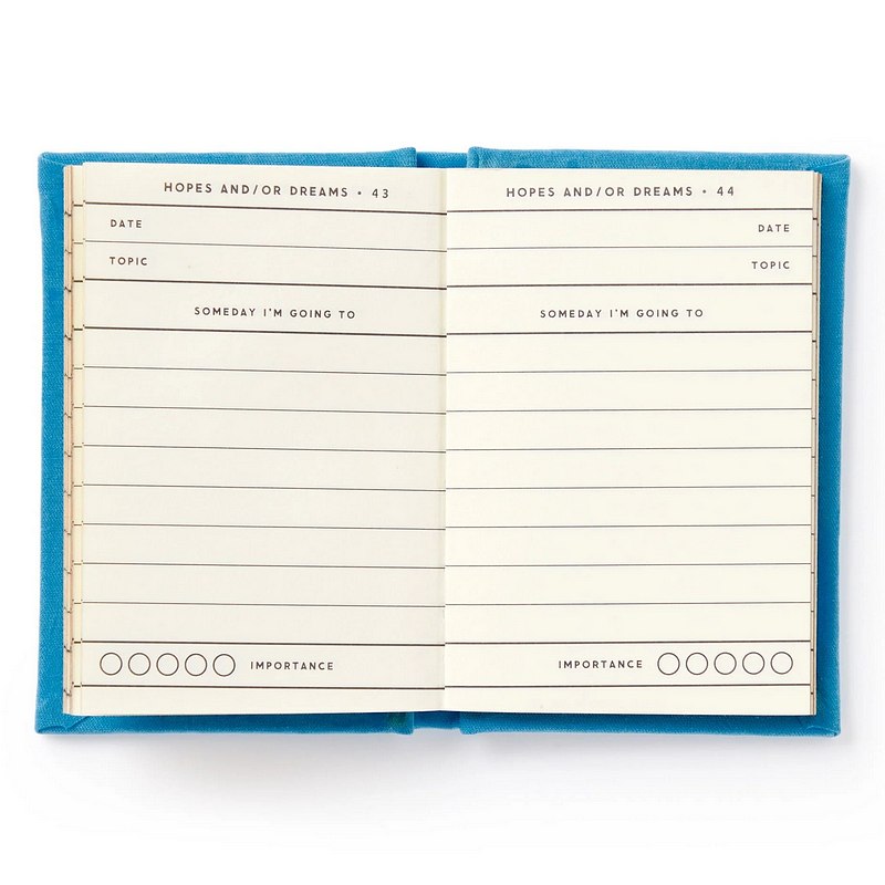 Tiny Hopes and Dreams Diary inside 2