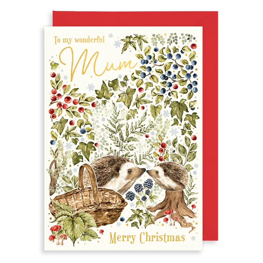 To My Wonderful Mum Hedgehogs Christmas Card AFRX263 front