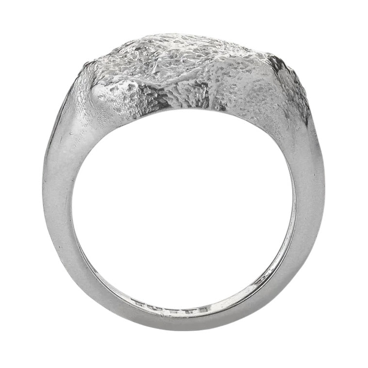 Tutti & Co Jewellery Halo Ring Silver RN363S main