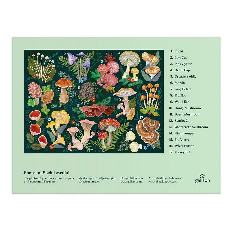 World of Mushrooms 1000 Piece Puzzle guide