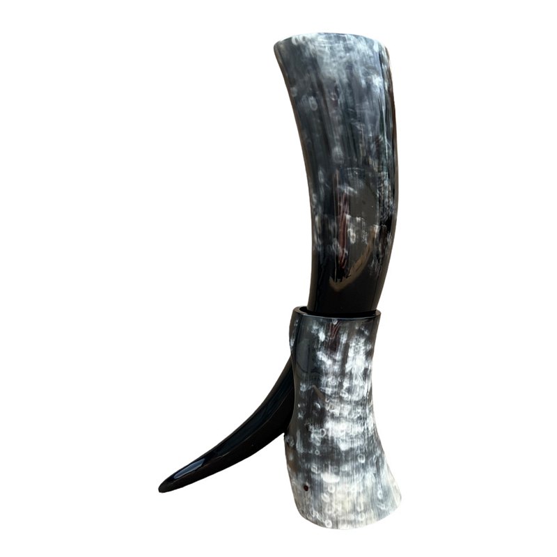 Abbeyhorn Polished Oxhorn Drinking Horn On Stand Dark back