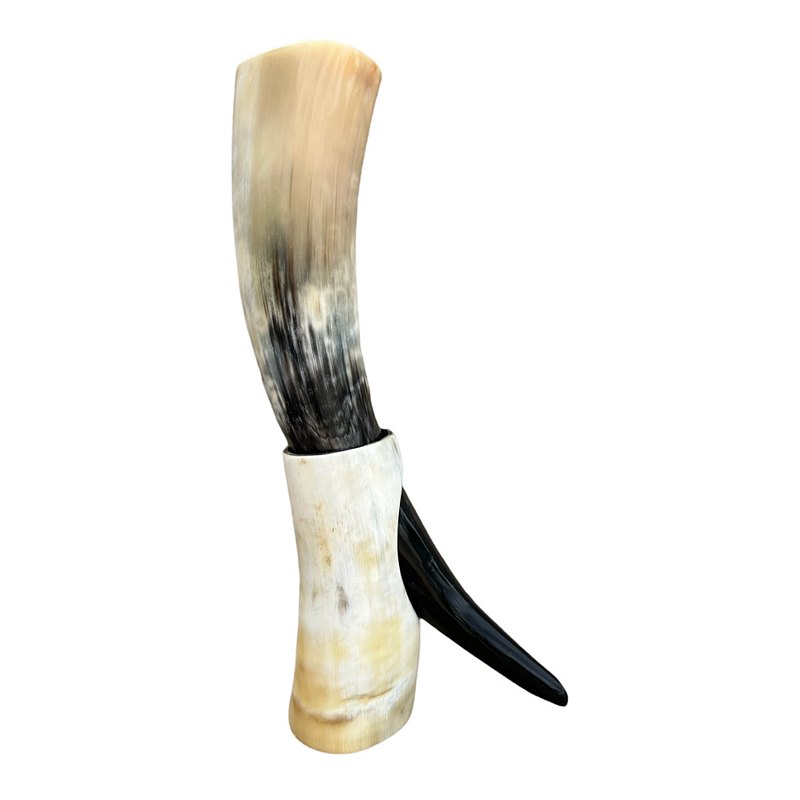 Abbeyhorn Polished Oxhorn Drinking Horn On Stand Pale front