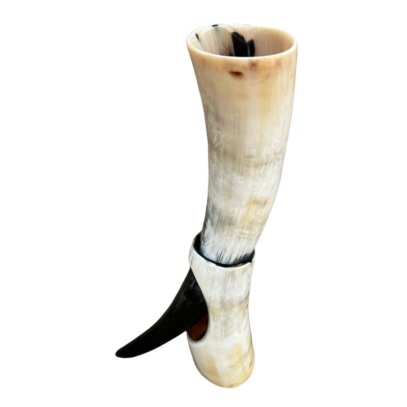 Abbeyhorn Polished Oxhorn Drinking Horn On Stand Pale backt