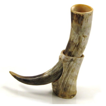 Abbeyhorn Drinking Horn on Stand (Rough Horn)