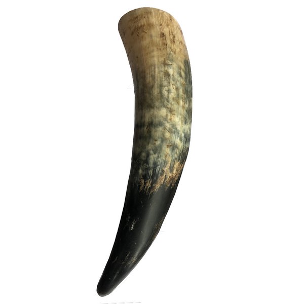 Abbeyhorn Rough Drinking Horn