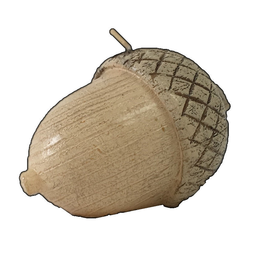 Candle Acorn