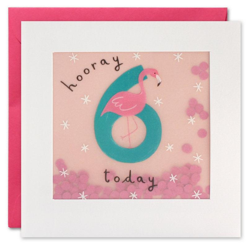 Age 6 Flamingo Paper Shakies Birthday Card PP3277 front