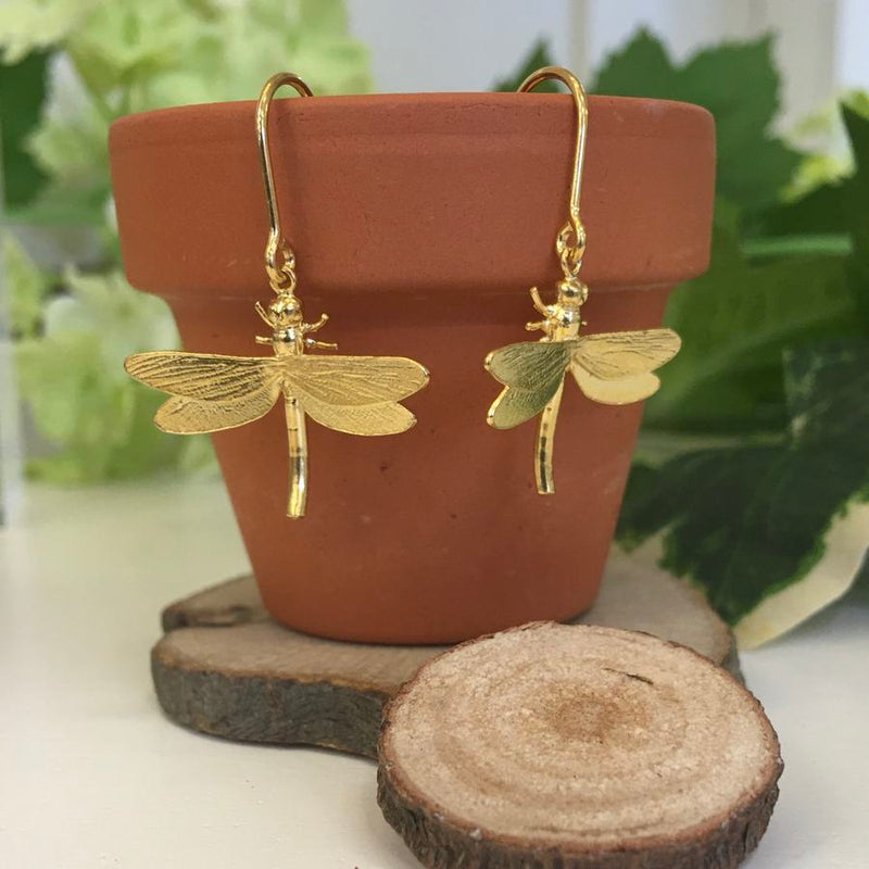 Alex Monroe Jewellery Dragonfly Hook Earrings Gold Plated on plant pot