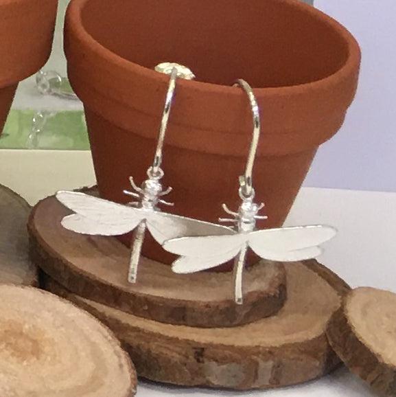 Alex Monroe Jewellery Dragonfly Hook Earrings Silver SMGE11-S on plant pot