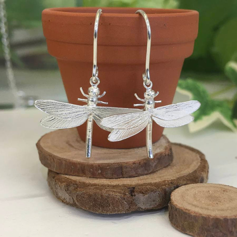 Alex Monroe Jewellery Dragonfly Hook Earrings Silver on mini plant pot