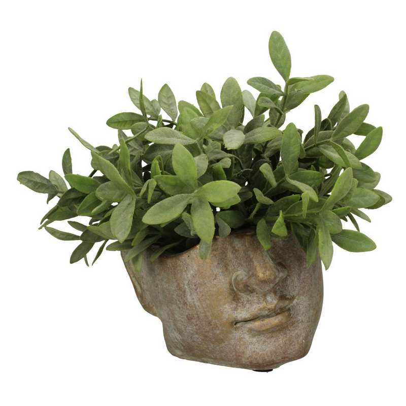 Apollo Face Planter Small 907591 in use