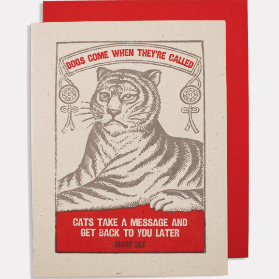Archivist Greetings Card  Cat Message QP444 front