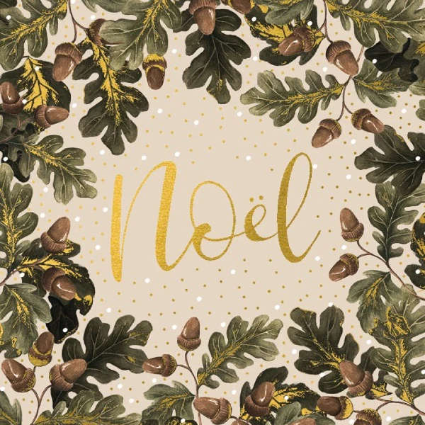 Art File Charity Christmas Cards 6 Pack Noel Acorns XP389