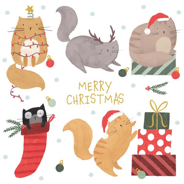 Art File Charity Christmas Cards Cats & Presents 6 pack XP363 front