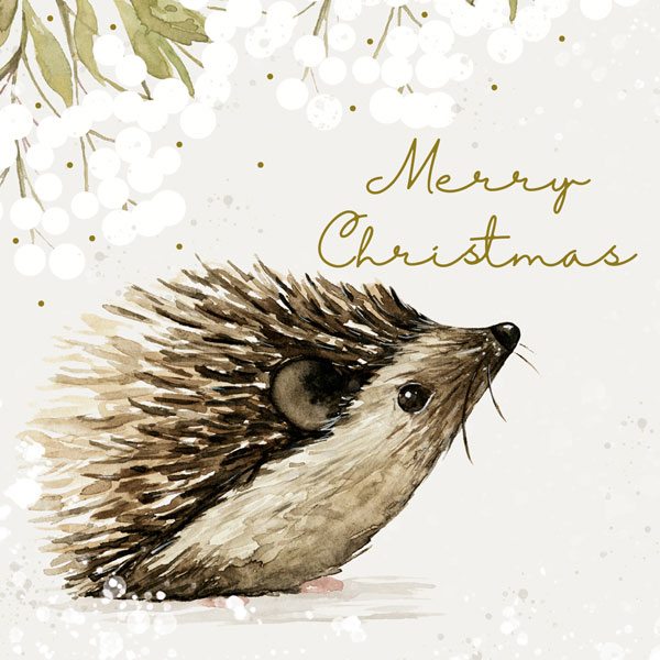 Art File Charity Christmas Cards Hedgehog 6 pack XP360 front