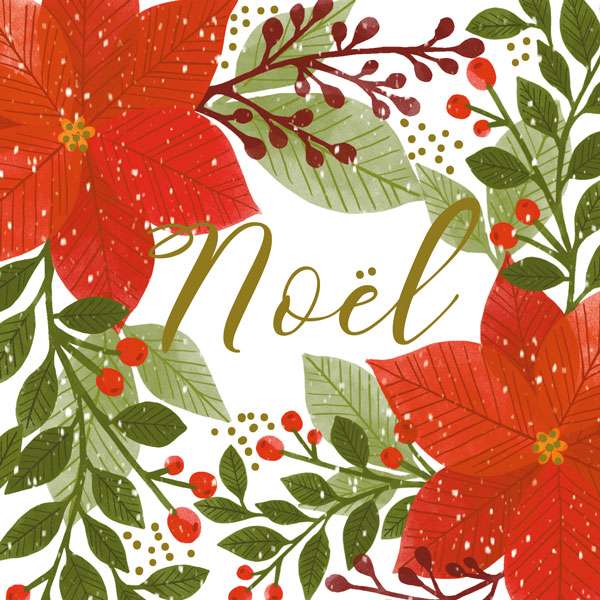 Art File Charity Christmas Cards Noel Pointsettia 6 pack XP362 front