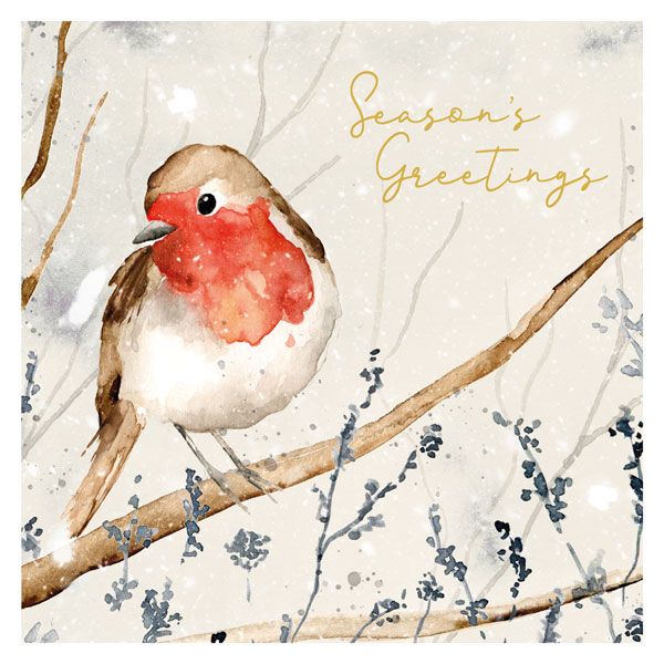 Art File Charity Christmas Cards Painterly Robin 6 pack XP367 front