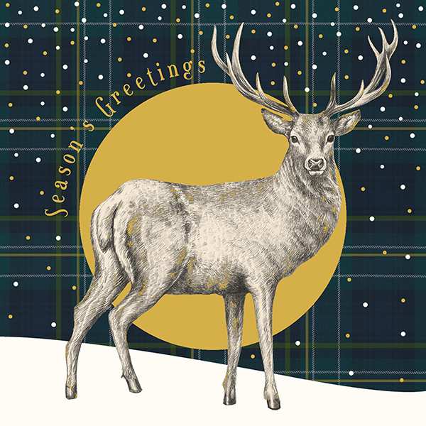  Art File Charity Christmas Cards Stag & Check 6 pack XP301 front