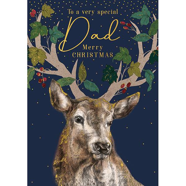 Art File Christmas Card To A Very Special Dad AFRX206 front