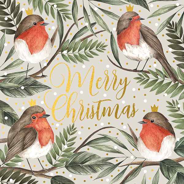 Art File Christmas Cards Robin 10 Pack WAX74 1