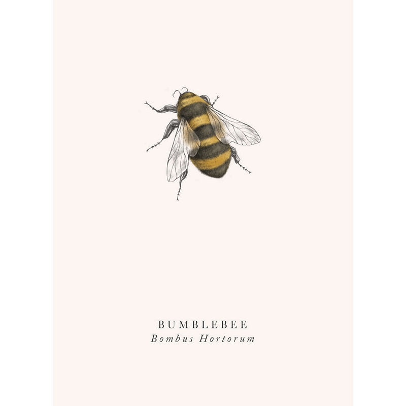 Art File Greetings Card Bumblebee BK20