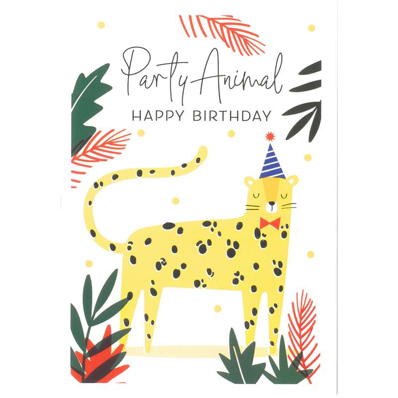 Art File Greetings Card Party Animal Happy Birthday SD07 front