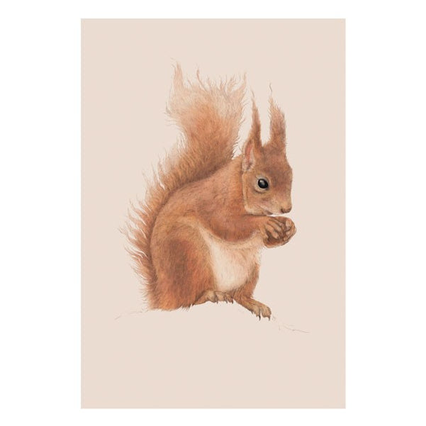 Art File Greetings Card Red Squirrel NH25 front