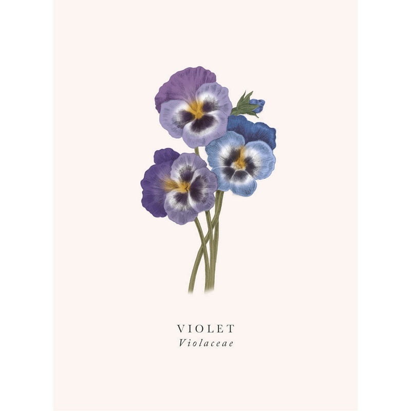 Art File Greetings Card Violet BK05