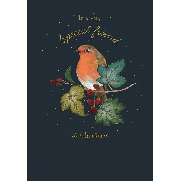 Art File To A Very Special Friend At Christmas Robin AFRX123 front