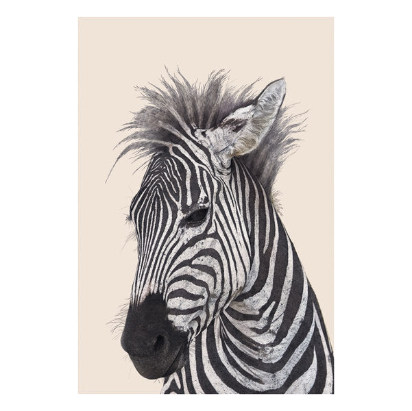 ArtFile Zebra Card NH36