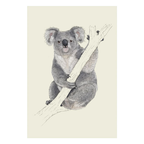 Artfile Koala Card NH28