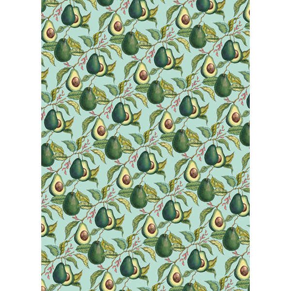 Avocado Gift Wrap GW75
