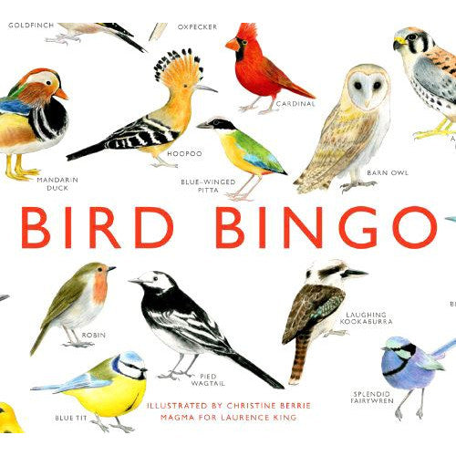 Bird Bingo front