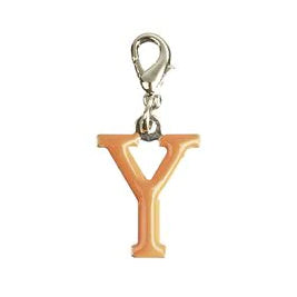 Bombay Charm Alphabet Enamelled Alphabet Letter Y