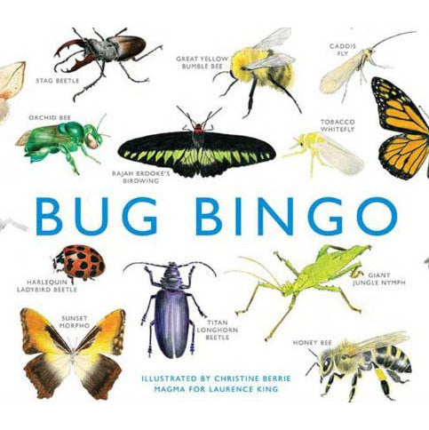 Bug Bingo Family Game