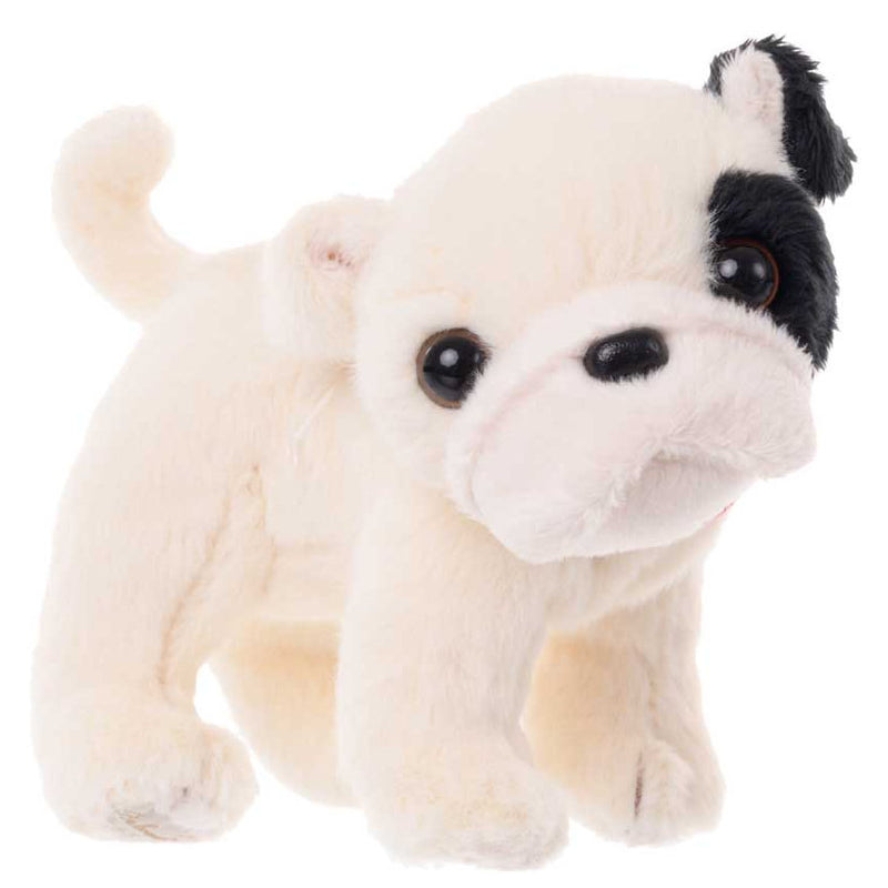 Bukowski Bears UK Baby Gentleman Soft Toy Dog