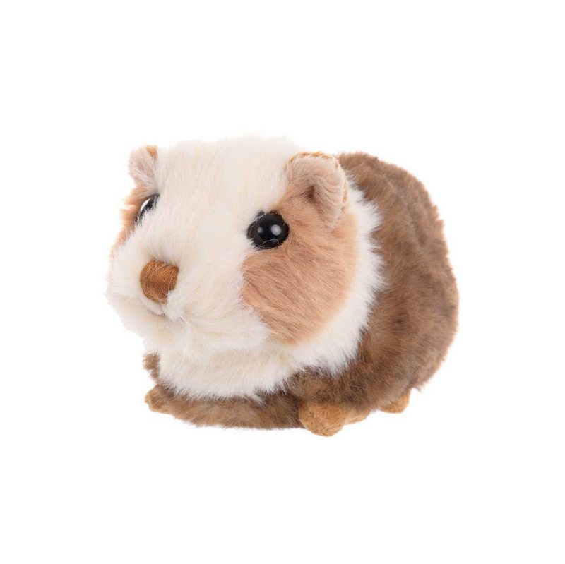 Guinea Pig Soft Toys