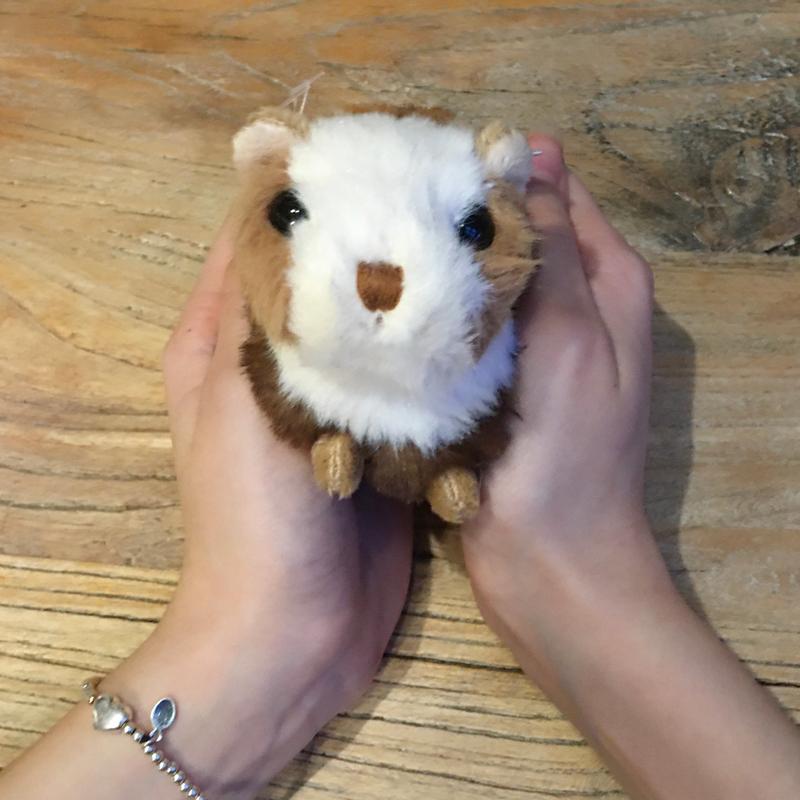 Bukowski Soft Toy Baby Guinea Pig in hands