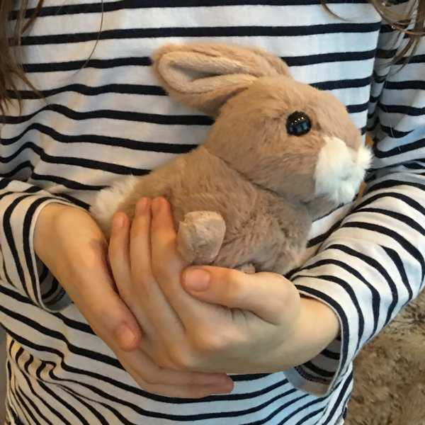 Bukowski Brown Toy Rabbit Hera held
