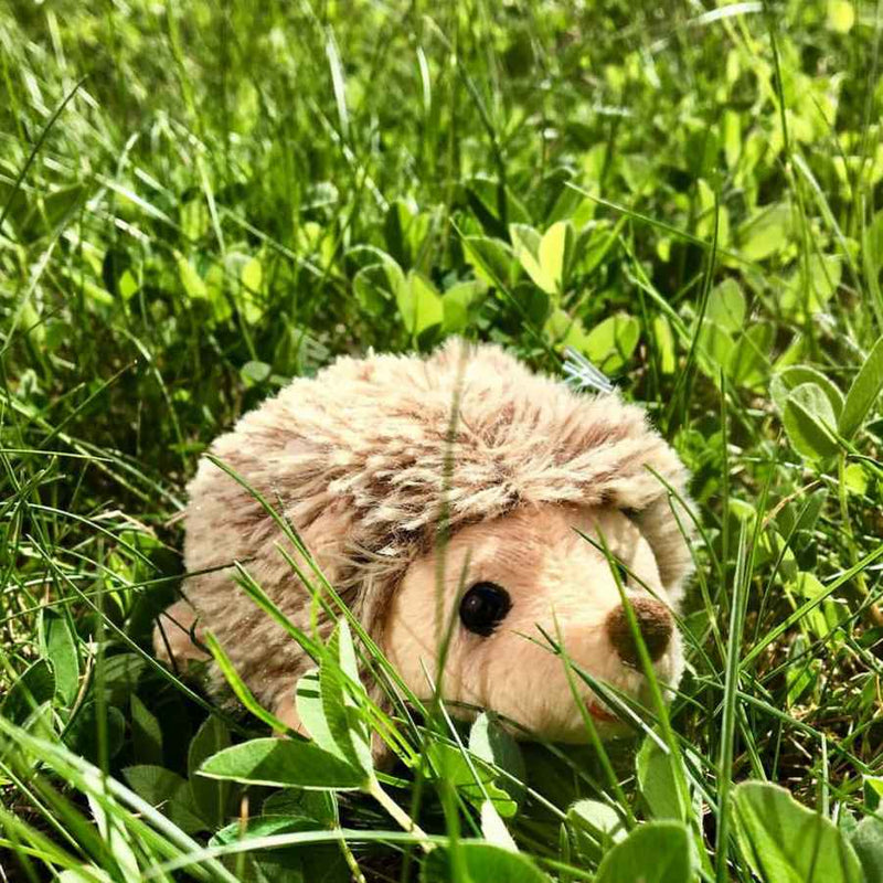 Bukowski Teddy Bears Baby Hubert Hedgehog Soft Toy outside