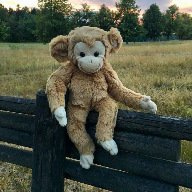 Bukowski Teddy Bears Bernard Monkey Soft Toy outside