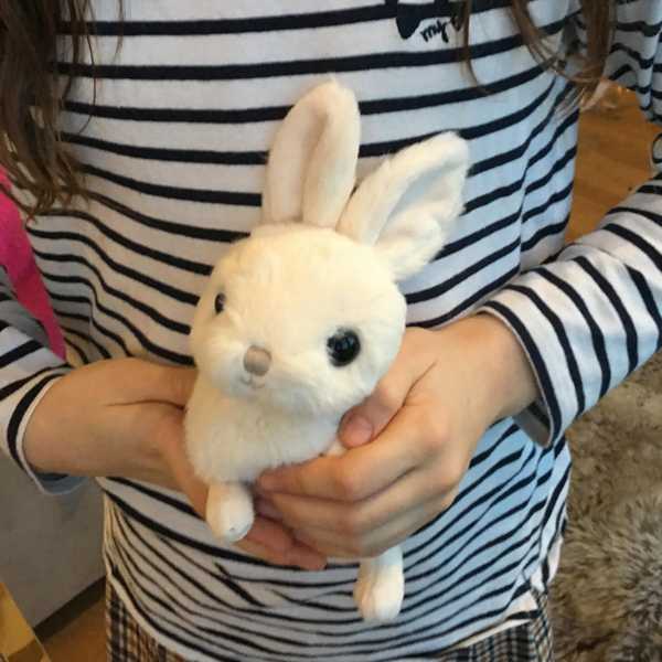 Bukowski White Toy Rabbit Zeus held