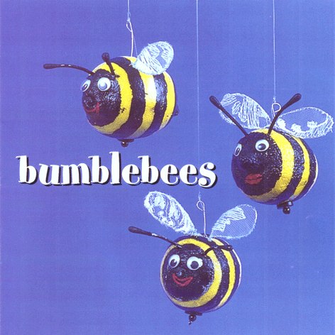 Bumblebees CD HBCD0012 front