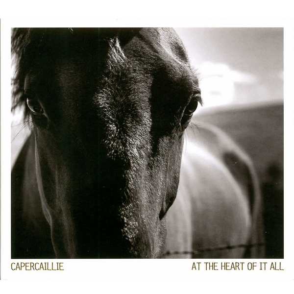 Capercaillie - At The Heart Of It All - CD cover front