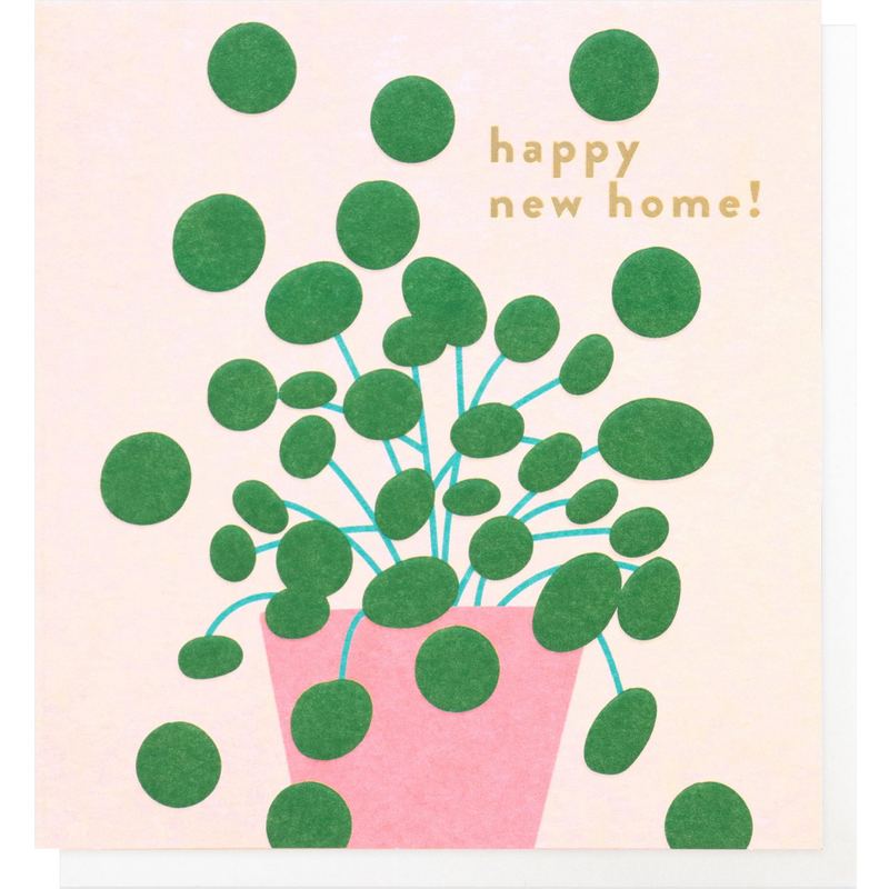 Caroline Gardner Greetings Card Dotty Plant New Home DOT007 front